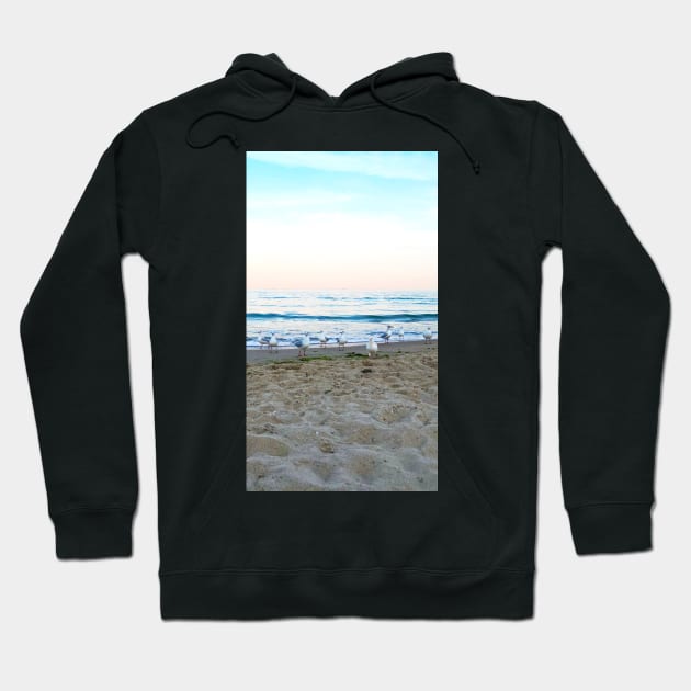 Seagulls sit on the beach Hoodie by taya-stdnk